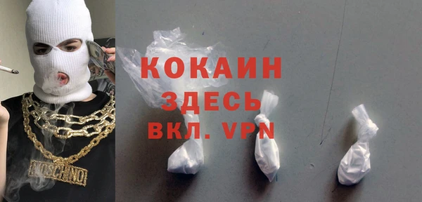 твердый Арсеньев