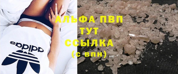 твердый Арсеньев