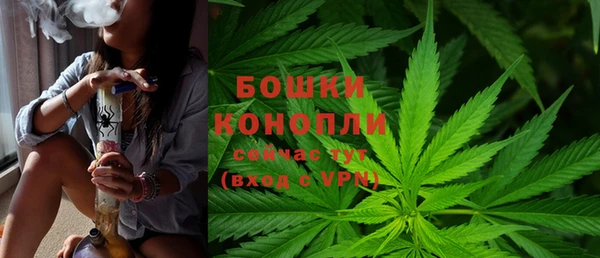 не бодяженный Аркадак