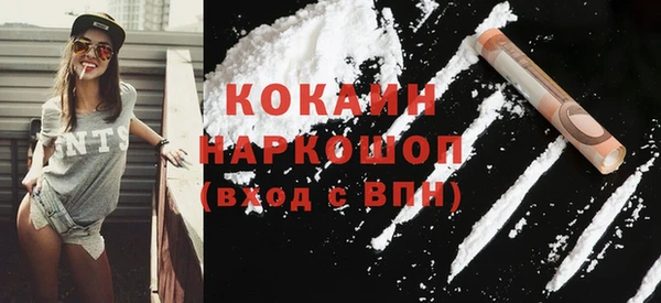 твердый Арсеньев