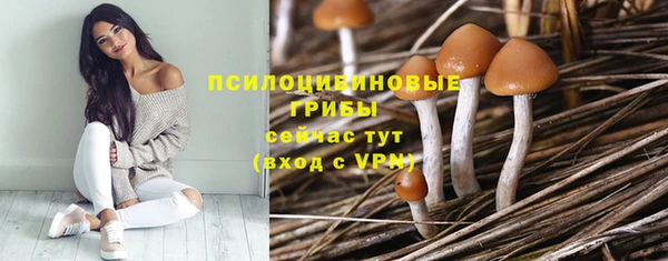 ALPHA-PVP Армянск