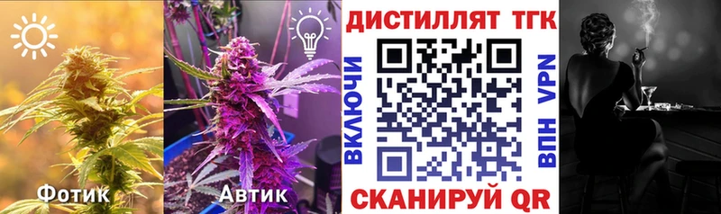 mega Сосновоборск Дистиллят ТГК жижа
